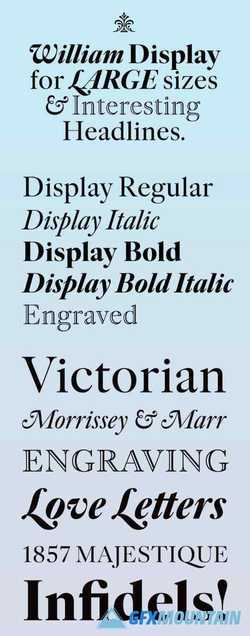 William Display Font Family