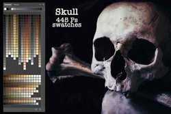 Skull Ps Swatches 2902767