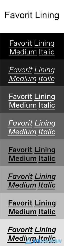 Favorit Lining Font Family 