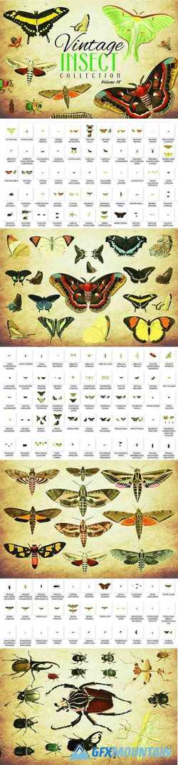 154 Vintage Insect Vector Graphics 4 - 3502662
