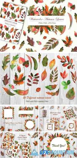 WATERCOLOR AUTUMN LEAVES - 3957168