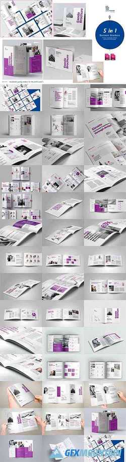 Brochure Pack 3997063