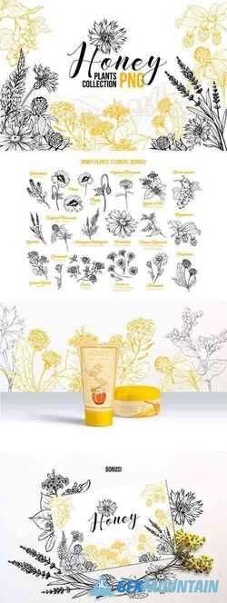 HONEY PLANTS ENGRAVING COLLECTION - 4067661