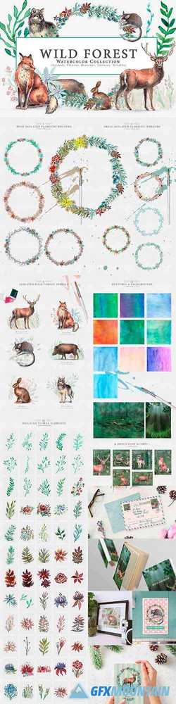 WILD FOREST WATERCOLOR COLLECTION
