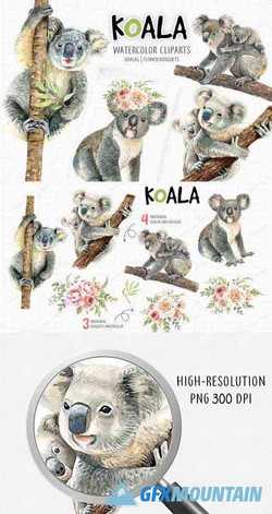 KOALA. ANIMALS WATERCOLOR CLIPART - 360402