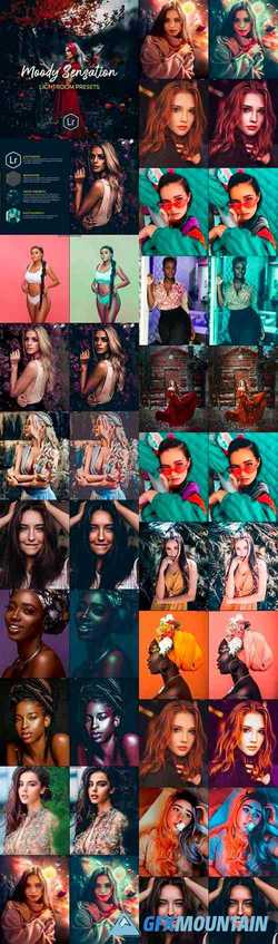Moody Portraits Collection Lightroom Presets 24876957