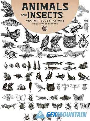 Animals and Insects Vectors