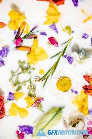 Colorful spring flowers in a milk bath patterned background