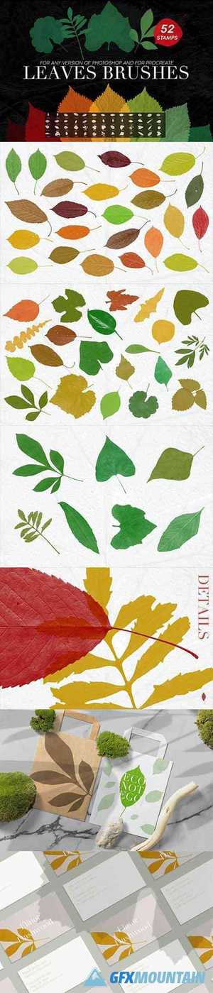 52 Leaves Photoshop Stamp Brushes 27969587