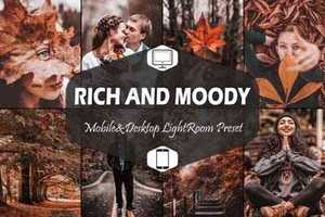 10 Rich And Moody Mobile & Desktop Lightroom Presets, Fall - 939771