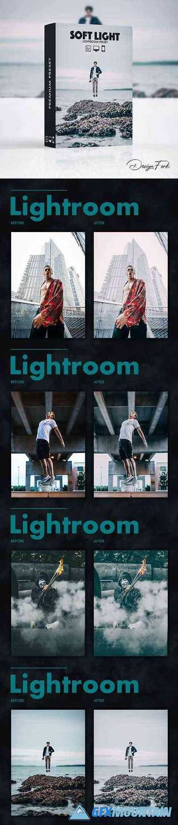Soft Light Lightroom Preset 30177990