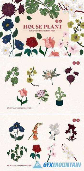 House Plant Illustration Kit
