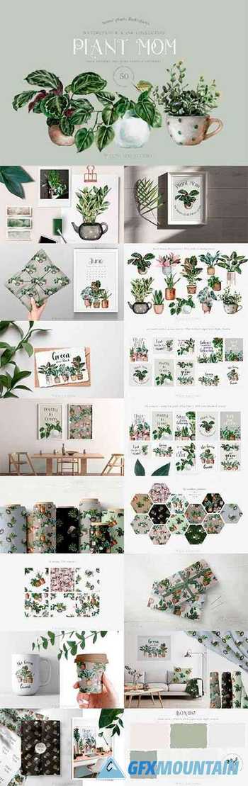 House Plants Illustrations and Patterns