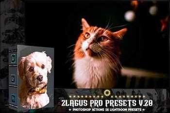 PRO Presets - V 28 - Photoshop & Lightroom