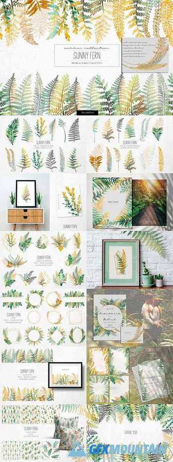 Sunny Fern Collection 12049944