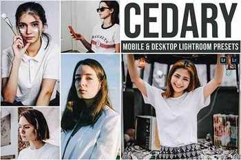 Cedary Mobile and Desktop Lightroom Presets
