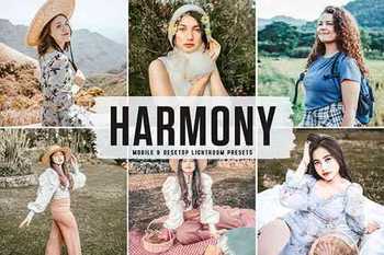 Harmony Pro Lightroom Presets - 6268633