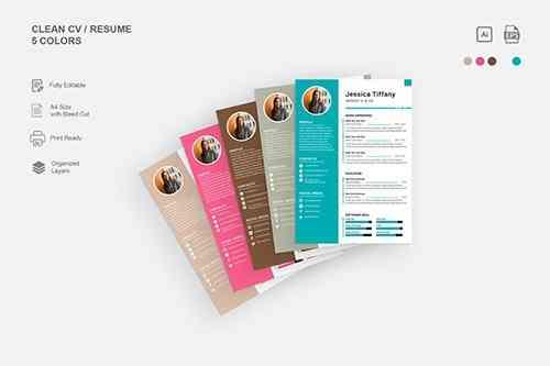 Resume Template 5 Colors