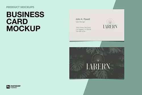 Business Card - Mockup