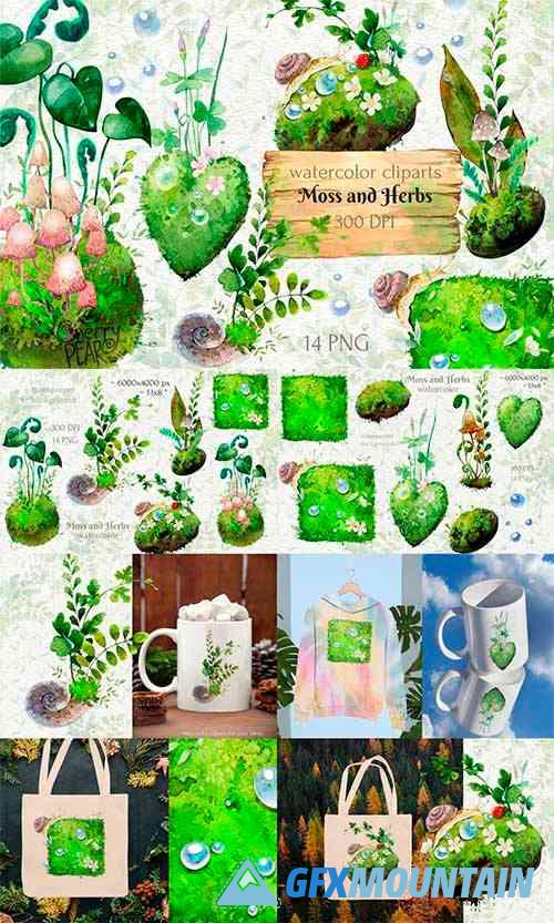 Watercolor cliparts of forest moss and herbs, PNG