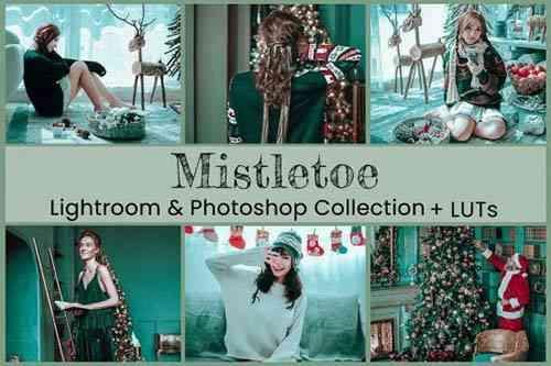 Mistletoe Lightroom Mobile Presets Photoshop Actions LUTs