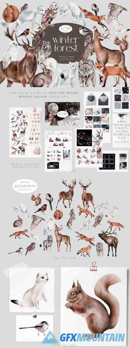 Winter Forest Animals and Birds PNG