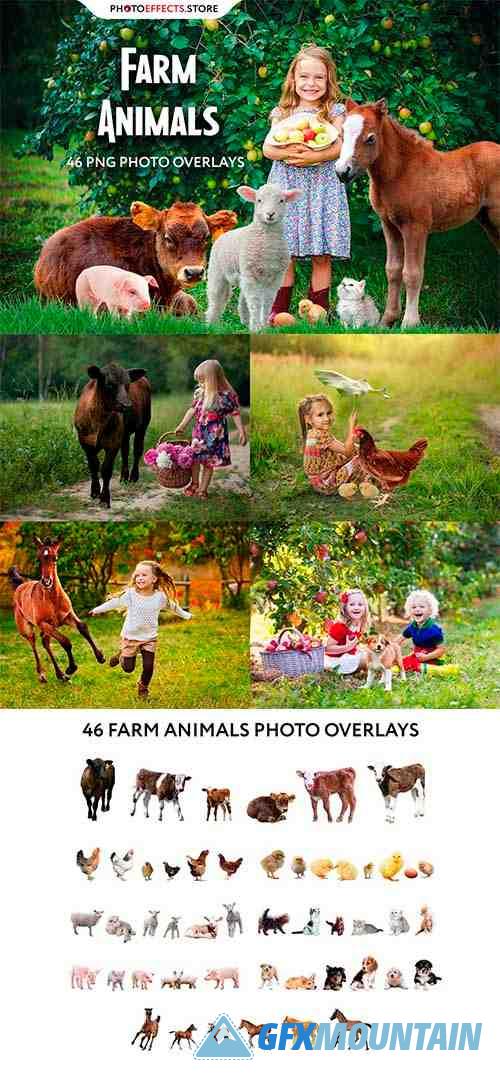46 Farm Animals Photo Overlays 6652852