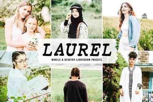 Laurel Pro Lightroom Presets - 6675030