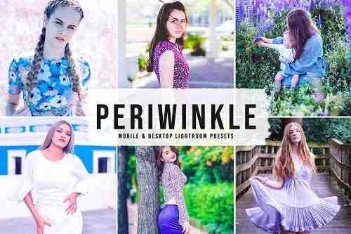Periwinkle Pro Lightroom Presets - 6695374