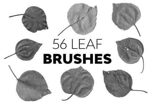 Leaf Brushes