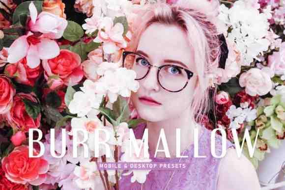 Burr Mallow Pro Lightroom Presets - 6926779