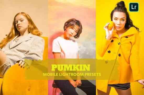 Pumkin Lightroom Presets Mobile