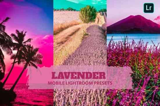 Lavender Lightroom Presets Mobile