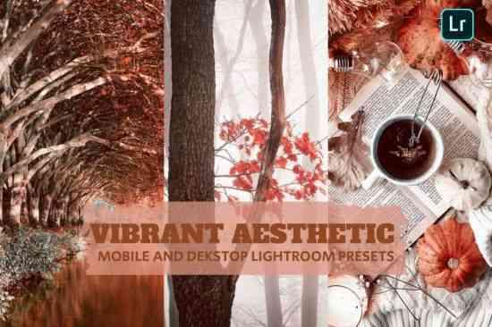 Vibrant Aesthetic Lightroom Presets Dekstop Mobile