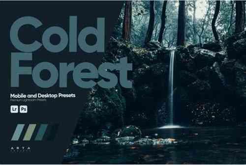 Cold Forest Presets for Lightroom