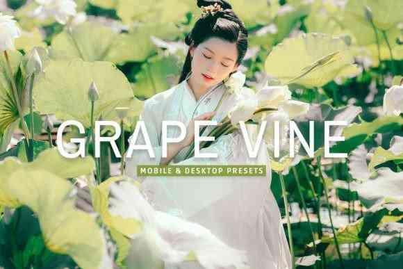 Grape Vine Pro Lightroom Presets - 7389010