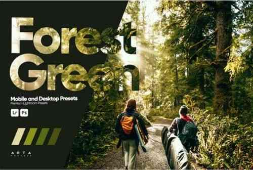 Forest Green Presets for Lightroom
