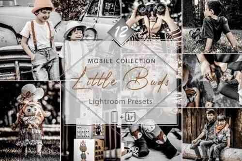12 Mobile Lightroom Presets, Little Buds