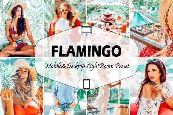 10 Flamingo Mobile & Desktop Lightroom Presets, Vibrant LR