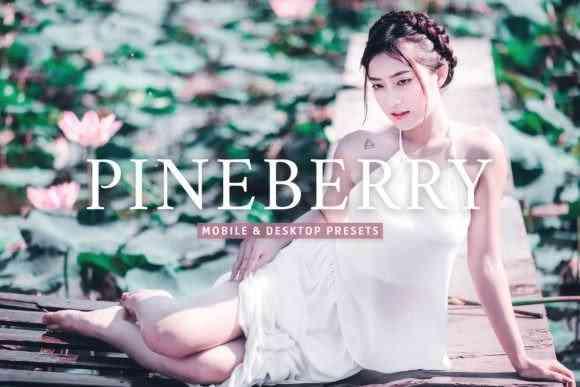 Pineberry Pro Lightroom Presets - 7473587