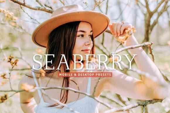 Seaberry Pro Lightroom Presets - 7473595