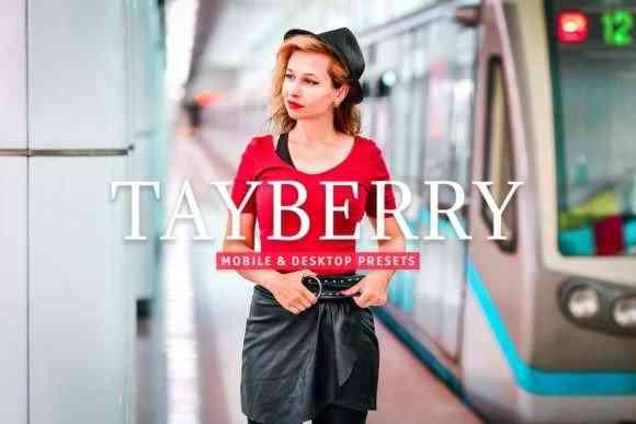 Tayberry Pro Lightroom Presets