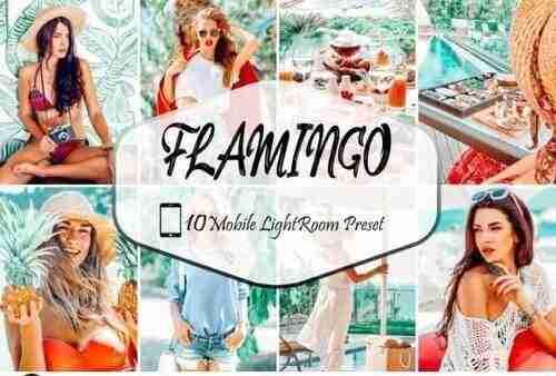 10 Mobile Lightroom Presets, Flamingo