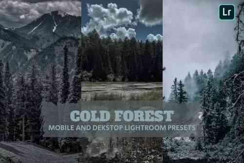 Cold Forests Lightroom Presets Dekstop and Mobile
