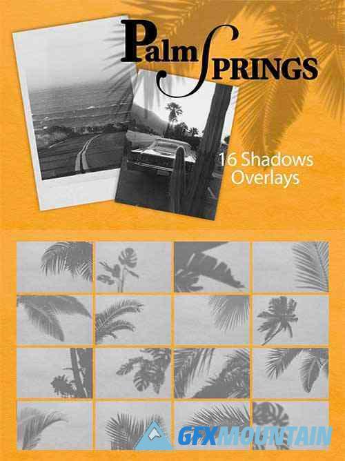Palm Spring | Shadow Overlays - 7807140