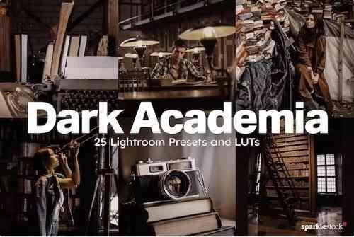 25 Dark Academia Lightroom Presets