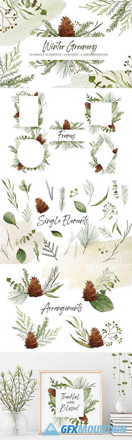 Watercolor Winter Greenery PNG Cliparts Pack