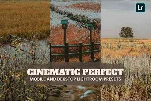 Cinematic Perfect Lightroom Presets Dekstop Mobile