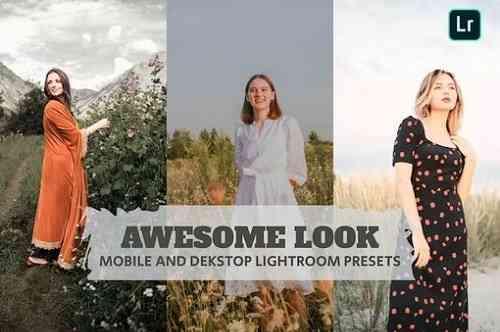 Awesome Look Lightroom Presets Dekstop and Mobile