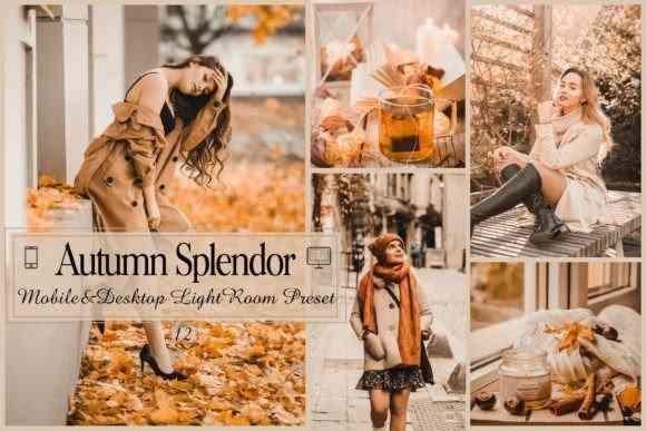 12 Autumn Splendor Mobile & Desktop Lightroom Presets